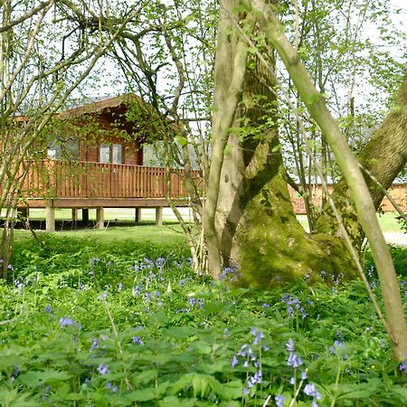 South Winchester Lodges Dış mekan fotoğraf