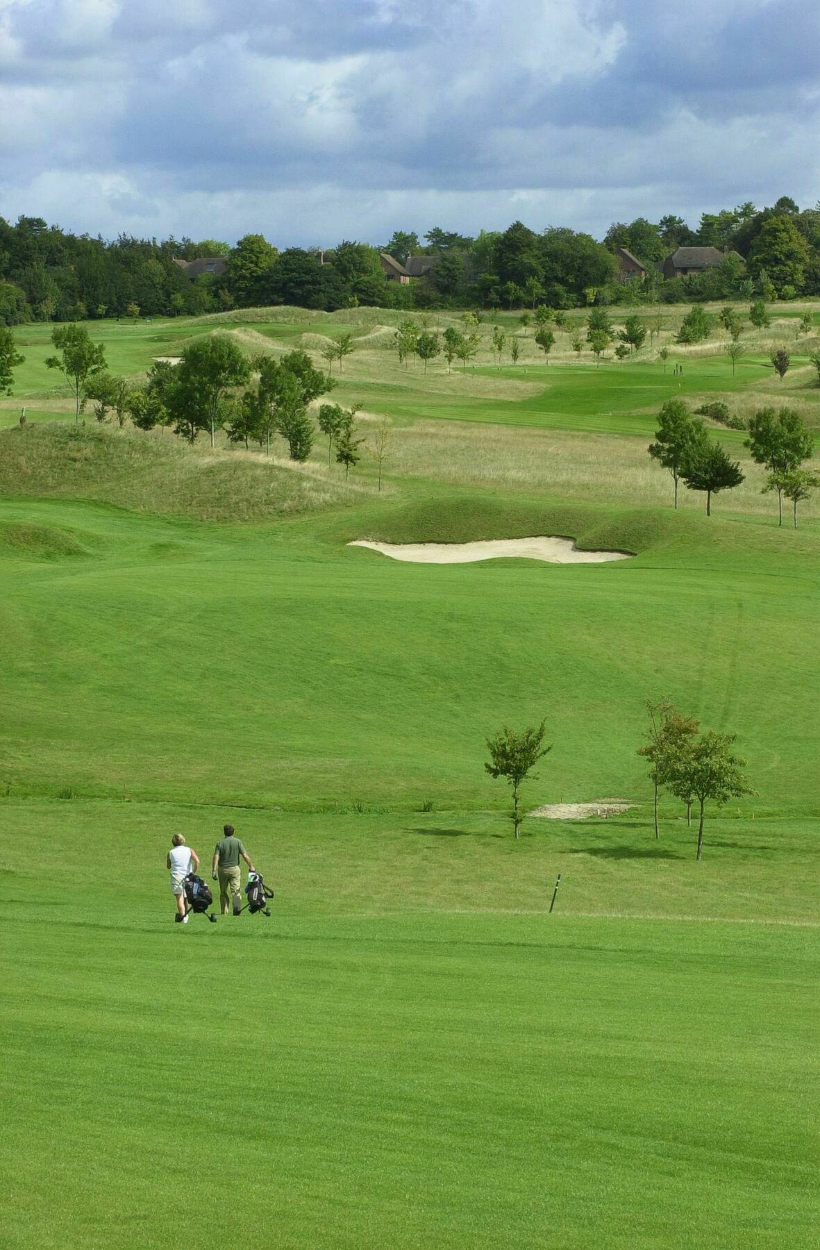 South Winchester Lodges Dış mekan fotoğraf
