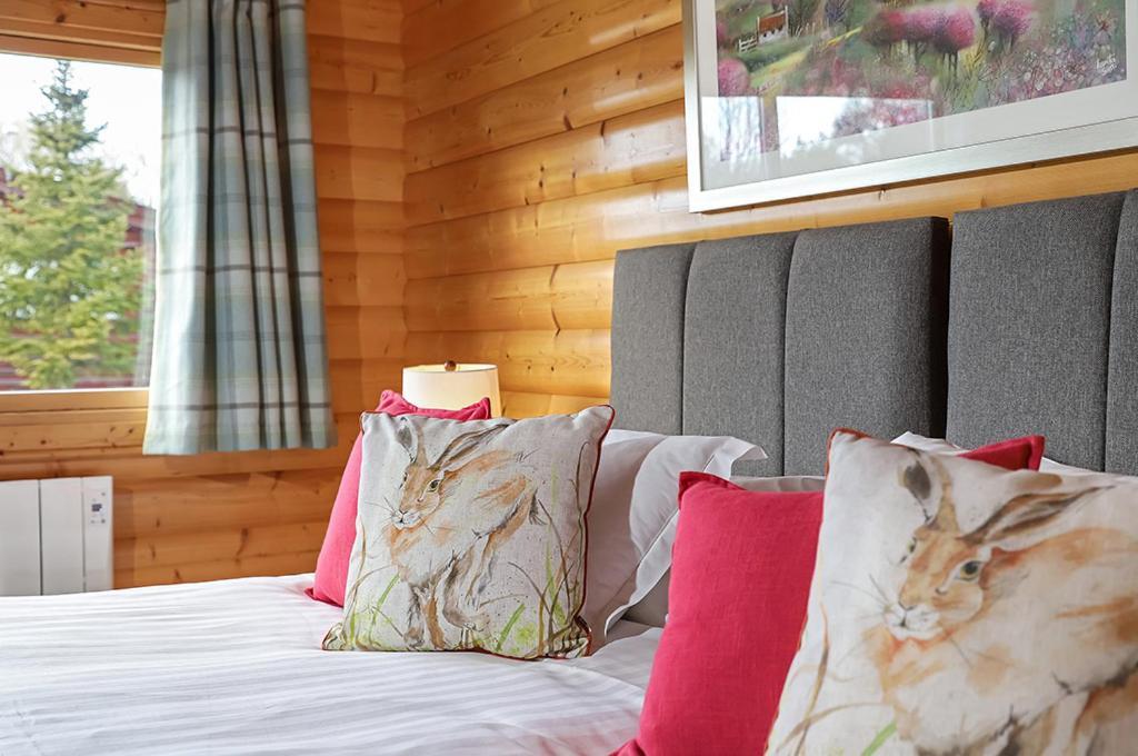 South Winchester Lodges Dış mekan fotoğraf